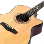 Brook electric guitar Professional level GA TAYLOR model S25NACGEQ + built -in strap machine ** Free equipment from Brook complete set **