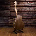 ENYA EAG40CE FISHMAN PRESYS BRIND, Premium, free delivery, free shipping -Red turtle