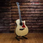 ENYA EAG40CE FISHMAN PRESYS BRIND, Premium, free delivery, free shipping -Red turtle