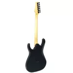 Proline PE1100 Electric guitar Strat 24 Freat Black Black Black Hands