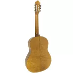 PARAMOUNT SCG966, Classic 39 Inch Guitar 4/4, TOP SOCL MAM Hokki / Mahogany, All Mahogany Classical Guitar