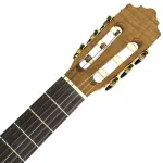 PARAMOUNT SCG966, Classic 39 Inch Guitar 4/4, TOP SOCL MAM Hokki / Mahogany, All Mahogany Classical Guitar