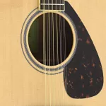 Yamaha® FG820-12 12 Guitar Top Slide Stud + Free Premium & Kapo & Junner & Pickup & Cream Costume & Rotating Balls & Picks