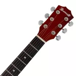 PARAMOUNT QAG412 41 inch guitar, concave neck, spruce/linden coated + free guitar bag & kapok ** Ki Ta