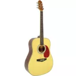 Clevan Acoustic Guitar D20 41 -inch guitar Nubone + use the guitar line D'Addario ** The sound is better than Yamaha F310 /