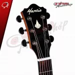 Mantic AG370, 41 -inch D -shape D, Chords - Ready to get 10 free items, free Setup service.