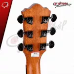 Mantic AG370, 41 -inch D -shape D, Chords - Ready to get 10 free items, free Setup service.