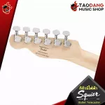 [Bangkok & Metropolitan Lady to send Grab Urgent] Electric guitar Squier Bullet Telecaster [Free free gift] [with Set Up & QC Easy to play] [Insurance from Zero] [100%authentic] [Free delivery] Turtle