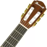 PARAMOUNT, classic, 40 inch electric guitar