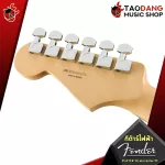 Fender Player Stratocaster PF electric guitar, world -class electric guitar, classic Stratocaster with premium free gifts - red turtles