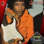 Fender Player Stratocaster PF electric guitar, world -class electric guitar, classic Stratocaster with premium free gifts - red turtles