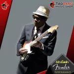 Fender Player Stratocaster PF electric guitar, world -class electric guitar, classic Stratocaster with premium free gifts - red turtles