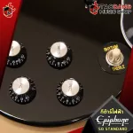 Epiphone SG Standard electric guitar, alpine white, eBony, Heritage Cherry [free free gift] [with Set Up & QC] [100%authentic] [Free delivery] Turtle