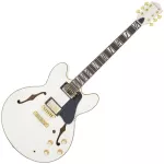 Paramount Seg-272 Electric guitar Semi-Hollow 22 Frets Basswood Basswood Mahogany Finger Board Rosewood Humk