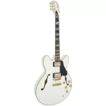 Paramount Seg-272 Electric guitar Semi-Hollow 22 Frets Basswood Basswood Mahogany Finger Board Rosewood Humk