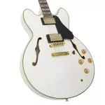 Paramount Seg-272 Electric guitar Semi-Hollow 22 Frets Basswood Basswood Mahogany Finger Board Rosewood Humk