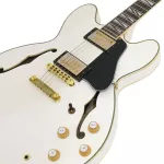 Paramount Seg-272 Electric guitar Semi-Hollow 22 Frets Basswood Basswood Mahogany Finger Board Rosewood Humk