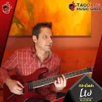 LTD M 200FM Stratocaster Body shape is made of Mahogany Bridge Floyd Rose, with 8 Premium, Red Turtle.