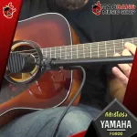 Guitar, Yamaha FG800, Natural, Brown Sunburst, Black, Sand Burt [Free free gift] [with Setup & QC easy to play] [100%authentic from zero] [Free Delivery] Red turtle