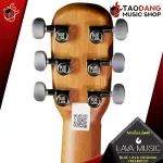 Airy, Airy, Lava Music Blue Lava Original Acoustic, Blue Lava Original Freest [Free free gift] [with Set Up & QC] [100%authentic] [Free delivery] Red turtle