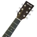 Paramount Qag711 Airy Guitar / QAG711E Electric 41 "Dreadnought style Slide Sterer/Sold Rose Wood, SE-40 coating for the QA model