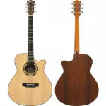 Paramount QAG504  กีต้าร์โปร่ง / QAG504E กีตาร์โปร่งไฟฟ้า 41 นิ้ว คอเว้า ทรง GA ไม้ท็อปโซลิดสปรูซ/โรสวู้ด เคลือบด้าน ปิ๊กอัพ SE-40 สำหรับรุ่น QAG504E