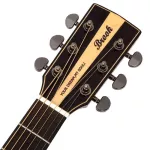 Brook electric guitar Professional level GA TAYLOR model S25NACGEQ + built -in strap machine ** Free equipment from Brook complete set **