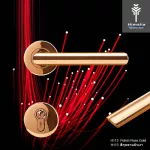 The separate lock model 304 is not rusty, modern. Gold rose color That pulls the door in the European style building
