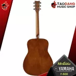 YAMAHA F600 Acoustic Guitar, Guitar, Yamaha, F600 + Standard Guitar Bag, Standard guitar bag