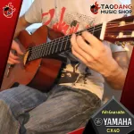 Classical guitar Yamaha CX40 [Free gift free set] [with Set Up & QC easy to play] [Center insurance] [100%authentic] [Free delivery] Red turtle