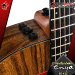 [กทม.&ปริมณฑล ส่งGrabด่วน] กีต้าร์โปร่ง,โปร่งไฟฟ้า Enya EDX1,EDX1E [ฟรีของแถมครบชุด][พร้อมSet Up&QCเล่นง่าย][ประกันจากศูนย์][แท้100%][ส่งฟรี] เต่าแดง