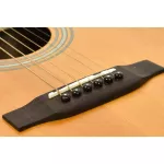 Gusta SDM5CE กีต้าร์โปร่ง Acoustic Guitar Music Arms