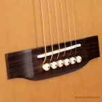 Gusta SDM5CE กีต้าร์โปร่ง Acoustic Guitar Music Arms