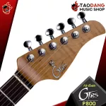 GTRS P800 Professional Series electric guitar [Free gifts] [with SET Up & QC Easy to play] [Insurance from the center] [100%authentic] [Free delivery] Turtle