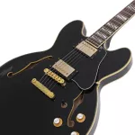 Paramount Seg-272 Electric guitar Semi-Hollow 22 Frets Basswood Basswood Mahogany Finger Board Rosewood Humk