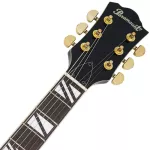 Paramount Seg-272 Electric guitar Semi-Hollow 22 Frets Basswood Basswood Mahogany Finger Board Rosewood Humk