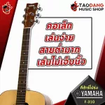 [Bangkok & Metropolitan Region Send Grab Quick] Airy guitar Yamaha F310 [Free gift set] [with Set Up & QC easy to play] [Insurance from the center] [100%authentic] [Free delivery] Red turtle