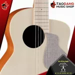 Anthiguen, Anthophit Guitar, Anuenue MC10, MC10E [Free gifts] [with SET Up & QC easy to play] [Insurance from zero] [100%authentic] [Free delivery] Turtle