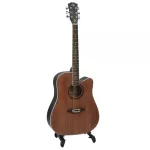PASSION PS412C 41 inch guitar D shape, Mahogany Wooden Wood/Linden with neck, neck + free guitar bags & Pick ** Ki