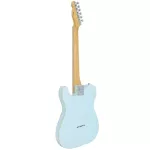 Maya MTE-60, Electric guitar 22 Frets Alder/Maple Pickles, Single, Vintage Coil ** JAPAN SINCE 1970 **