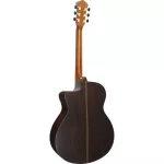 Paramount C5E 41 "electric guitar, professional, red pine wood, built -in strap machine With arms accommodation ** Choose a pickup / 1 year insurance **