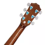 Paramount CD60S, 41 inch guitar, Dreadnough shape, Sprueus/Mahogany Classic Design, both shadow coated with neck.