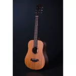 ENYA EB-01 Electric Guitar, 34 inches, Mahak wood