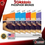 [USAแท้100%] [1ชุด 6เส้น] สายกีต้าร์โปร่ง D'Addario Phosphor Bronze  [พร้อมเช็ค QC] เต่าแดง