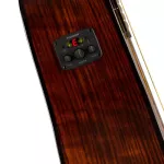 Fender® CD140sce, 41 electric guitar, "genuine Solid Stepru, Nubone, Fishman® CD-1 Preamp + Genuine Gennds from Fender® ** 1 year Insurance *