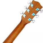 PARAMOUNT QAG511 Airy Guitar / QAG511E Electric 41 "Cordless GA Slide Sterer/Sold Mahogany coating, SE-40 side coating for QA models