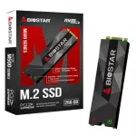 256 GB SSD SSD Biostar M500 M.2 NVME 2280