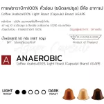 AGAPE Anaerobic 10 Capsule Coffee
