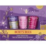 Burt's Bees Hand Cream Trio Gift 22