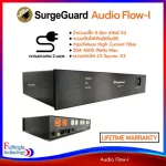 Surgeguard, Audio Flow-I, power filter, and reducing noise, number of 8 plugs, 2 length wires, removable cables, guaranteed throughout the lifetime.
